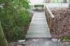 dsc09257_small.jpg