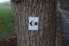 dsc09258_small.jpg