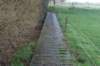 dsc09259_small.jpg