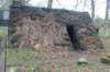 dsc09269_small.jpg