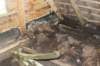 dsc09274_small.jpg