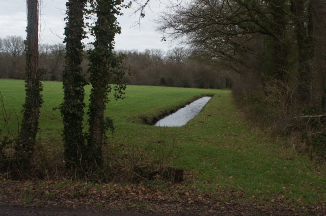 dsc09282.jpg