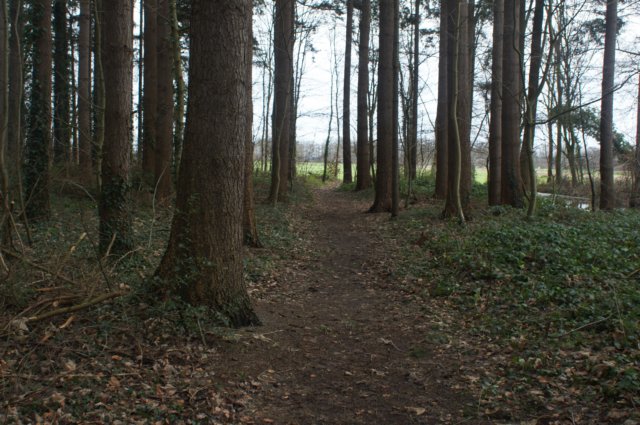 dsc09292.jpg