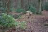dsc09328_small.jpg