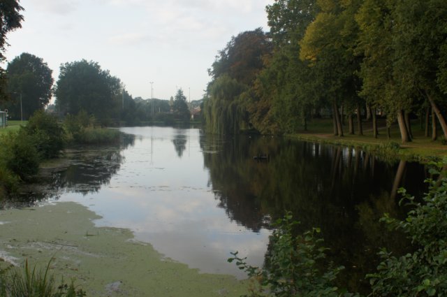 dsc02313.jpg