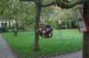 dsc02320_small.jpg