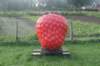 dsc02345_small.jpg