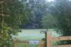dsc02349_small.jpg