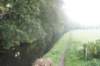 dsc02350_small.jpg