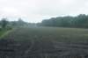 dsc02351_small.jpg
