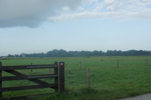dsc02356.jpg