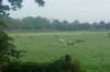 dsc02357_small.jpg