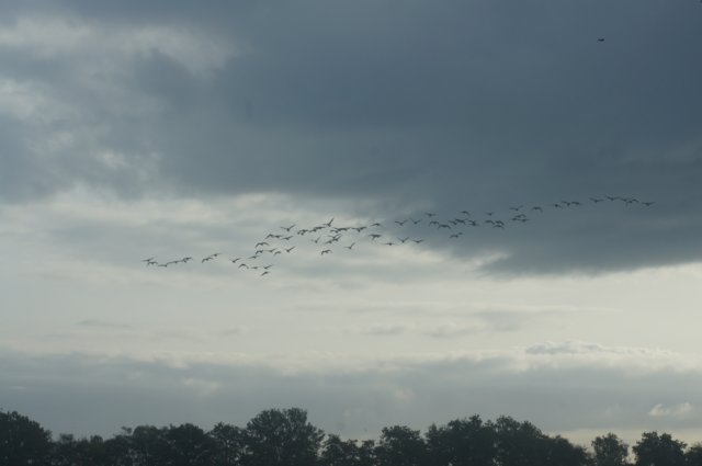 dsc02358.jpg