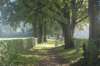 dsc02361_small.jpg