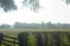 dsc02362_small.jpg