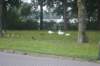 dsc02364_small.jpg