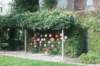 dsc02371_small.jpg