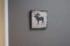 dsc02420_small.jpg