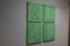 dsc02421_small.jpg
