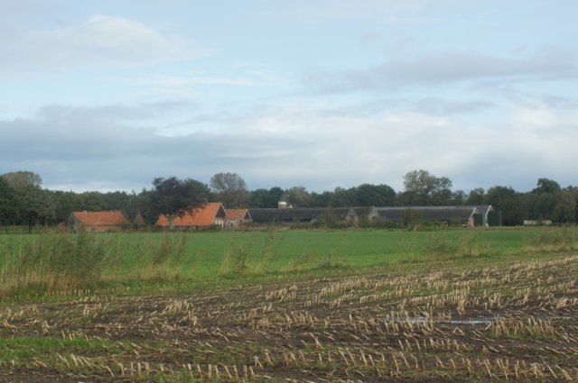 dsc02426.jpg