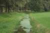 dsc02428_small.jpg