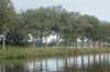 dsc02431_small.jpg