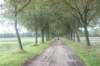 dsc02437_small.jpg
