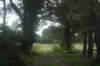 dsc02438_small.jpg