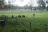 dsc02439_small.jpg