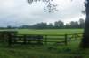 dsc02440_small.jpg
