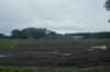 dsc02443_small.jpg