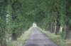 dsc02444_small.jpg