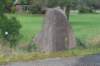 dsc02447_small.jpg
