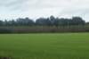 dsc02452_small.jpg