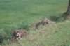 dsc02453_small.jpg
