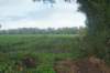 dsc02460_small.jpg
