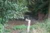dsc02462_small.jpg
