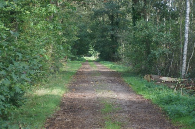 dsc02464.jpg