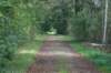 dsc02464_small.jpg