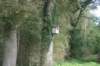 dsc02466_small.jpg