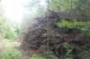 dsc02467_small.jpg