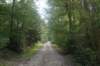 dsc02468_small.jpg