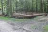 dsc02470_small.jpg
