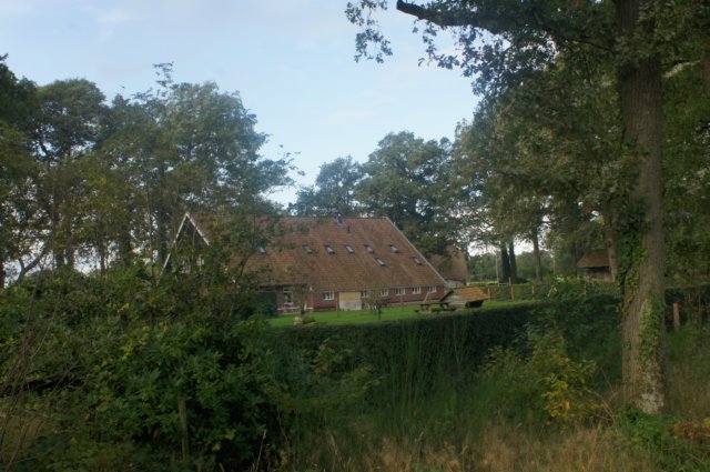 dsc02471.jpg