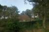 dsc02471_small.jpg