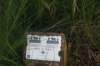 dsc02476_small.jpg