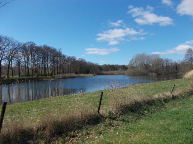 dscn0013.jpg