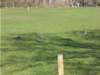 dscn0014_small.jpg