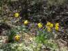 dscn0015_small.jpg