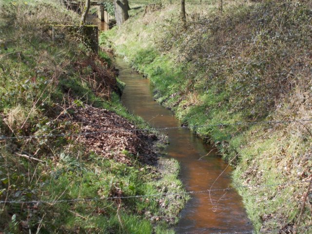 dscn0016.jpg